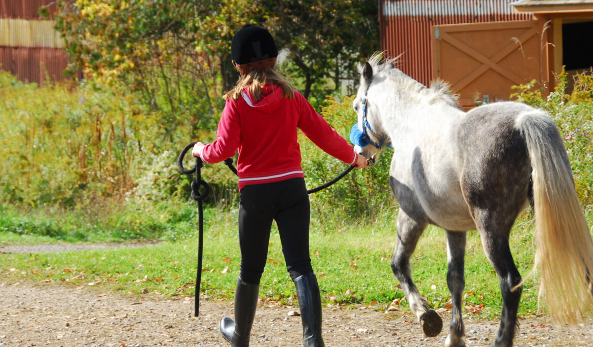 Se i figli fanno ippica, anche l’acquisto di un cavallo è una spesa straordinaria da dividere tra i genitori separati